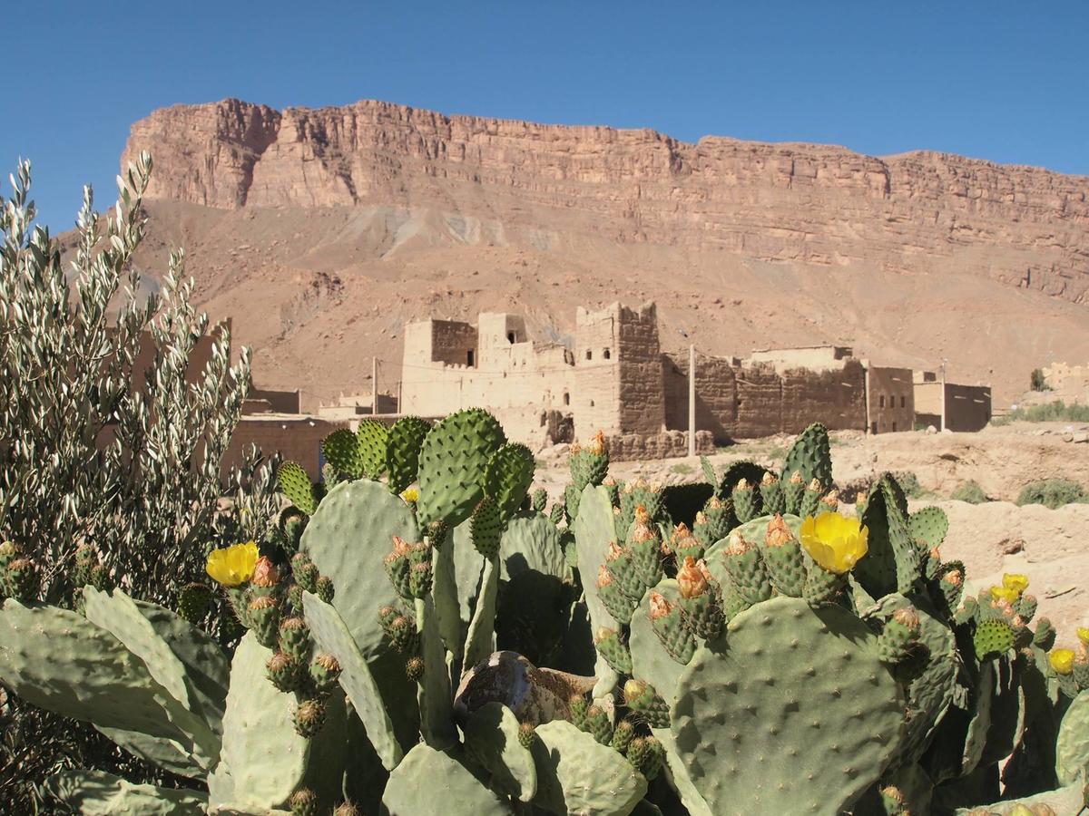Auberge Amellagou المظهر الخارجي الصورة